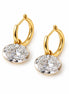 The Hailey Hoops - 2 Carat